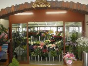 「あかがわ生花店」　（北海道札幌市豊平区）の花屋店舗写真2